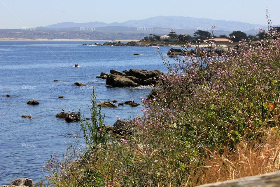 Monterey coast in California