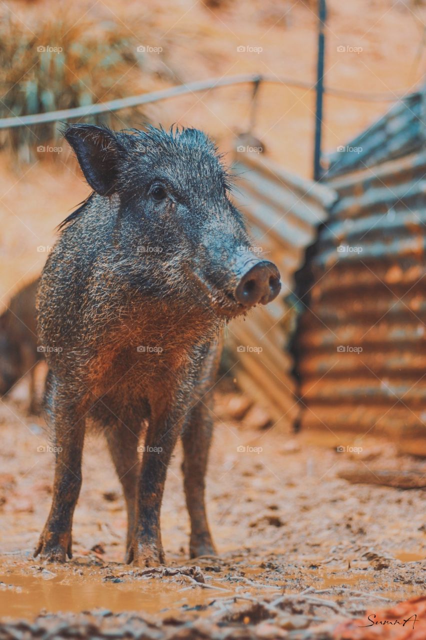 how much do you like this photo