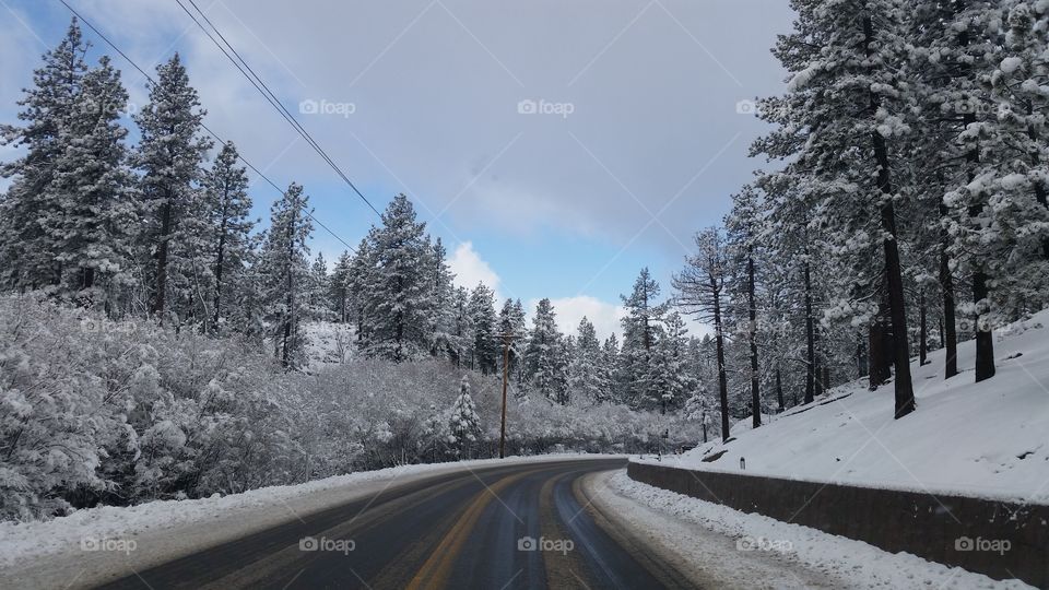 Driving to work after a snow storm . Taken while driving to work in South Lake Tahoe, CA 