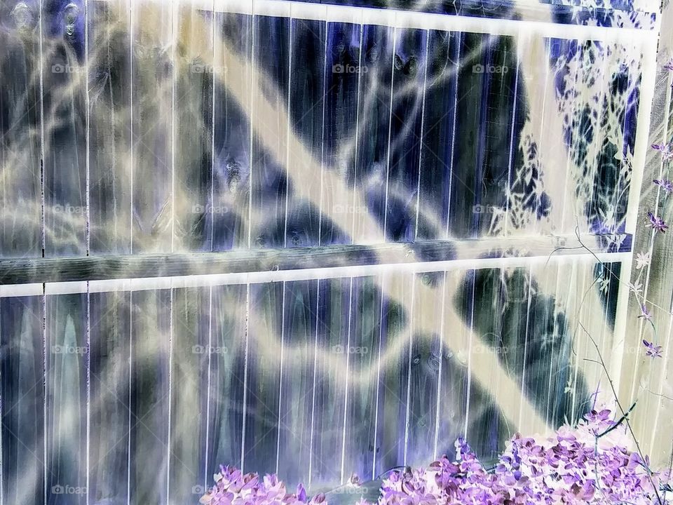 shadowy corner of the universe