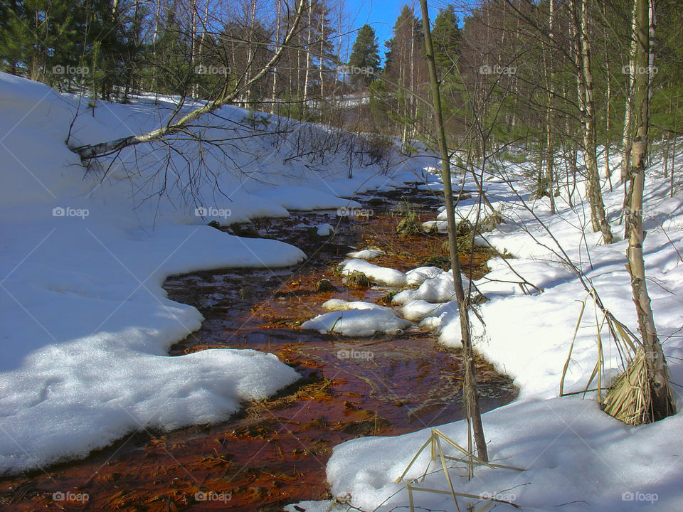 Early spring