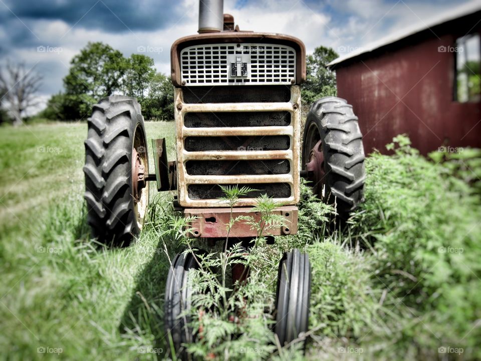 Farm life