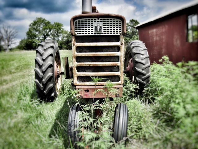 Farm life