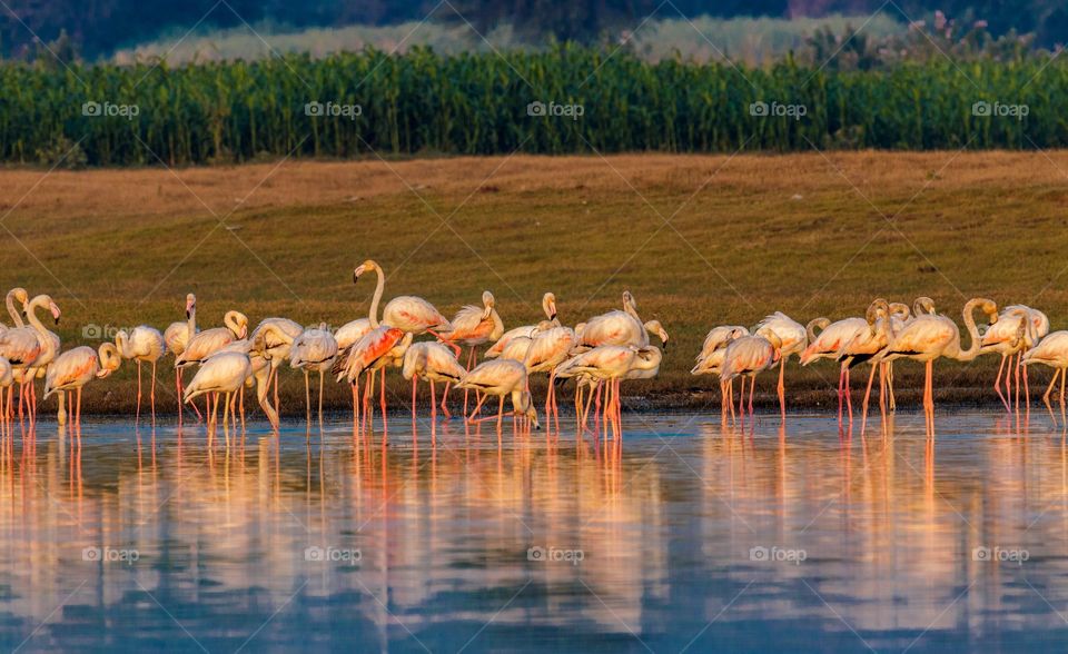 we are together.. always