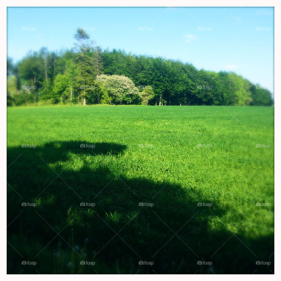 landscape sky green field by pellepelle