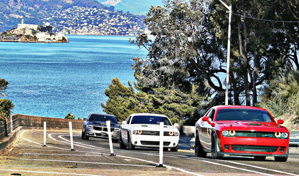 Bay Area car club