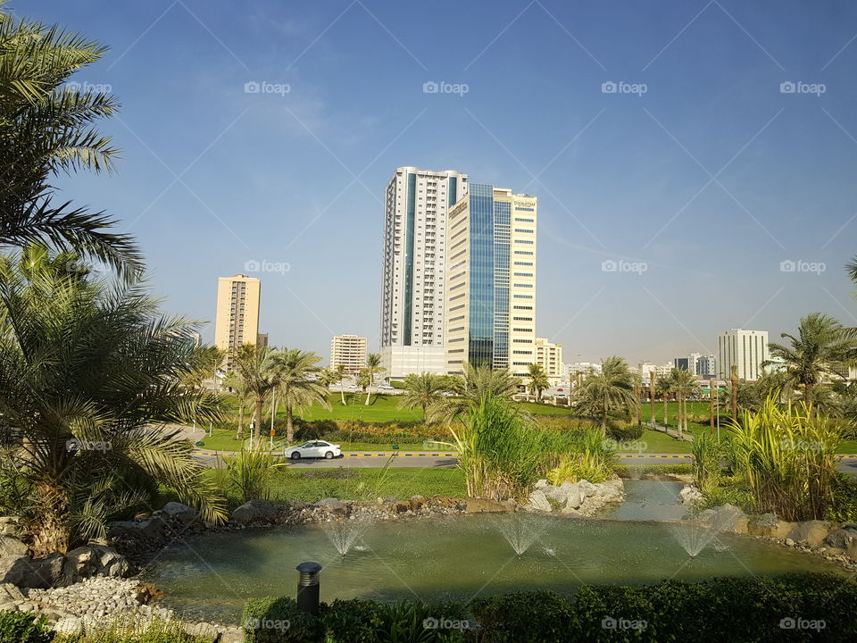 Hotel in Dubai🏙⛲🍃☀️