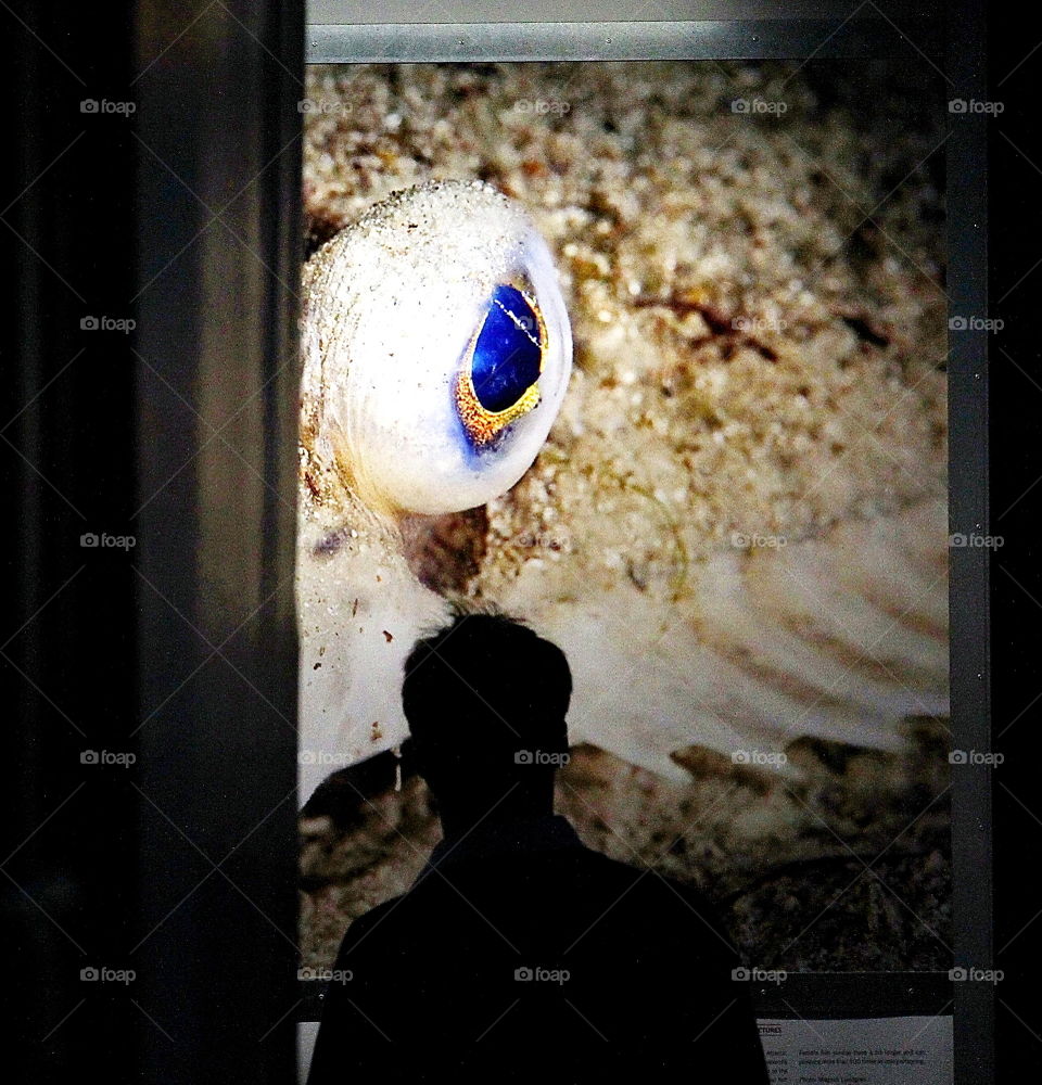 I can see you. public photo exhibition in central Copenhagen