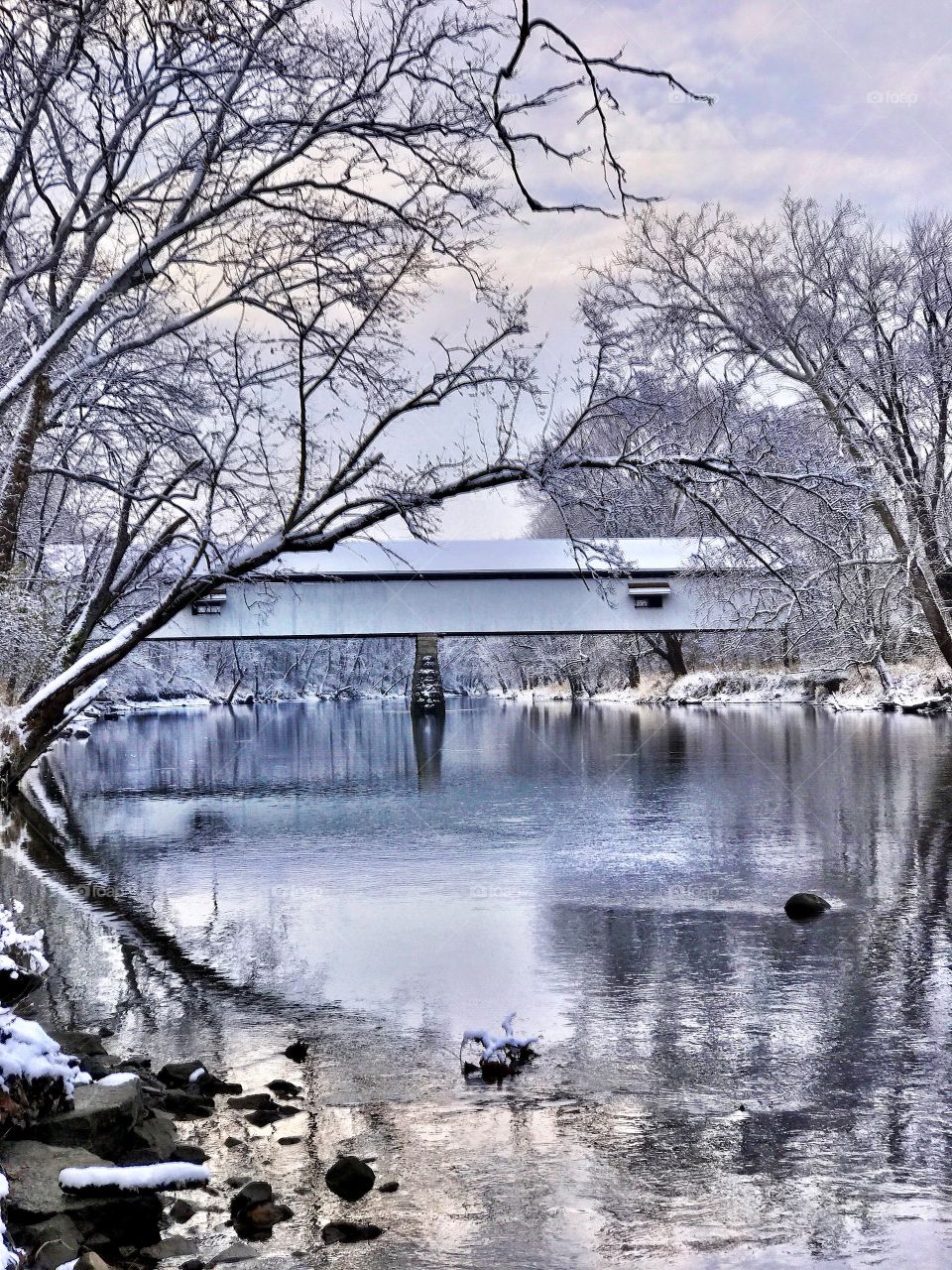 Winter views on the river 