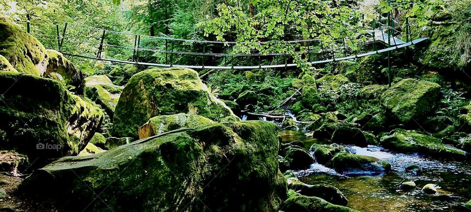 The „Buchberger Leite“ is an area where the river „Ohe“ that partially turned to white water rapids carved incisions up to 100 meters deep into the adjacent rocks. A long hanging bridge leads across some of these parts. 2023. Hypnotic Productions