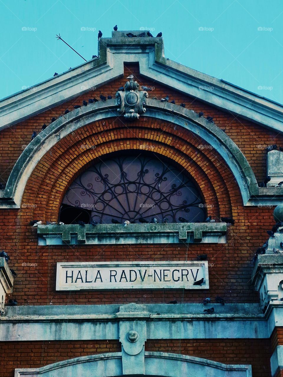 Radu Negru hall