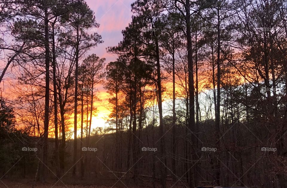 Sun emerging from behind clouds before setting behind hillside ridge illuminating cloud bank in brilliant colors in winter woods