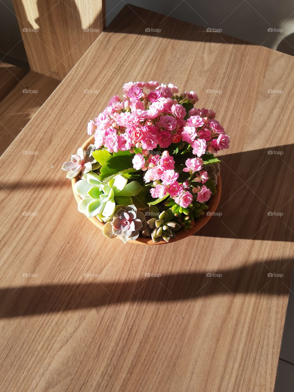 flower's arrangement