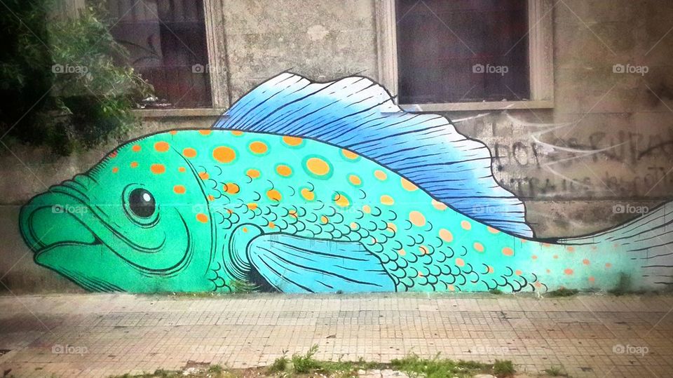Graffiti Fish