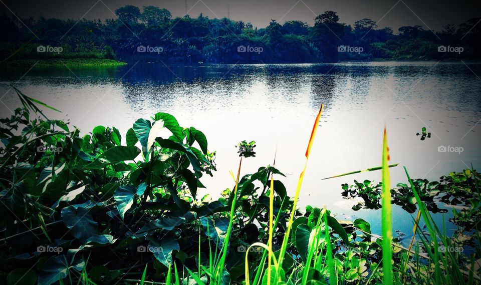 Mekarsari lake