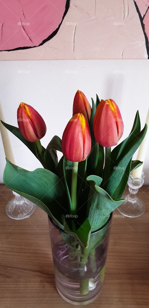 tulips