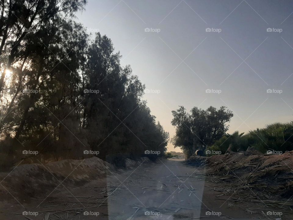 Please make me happy, I am poor, I need your help with support