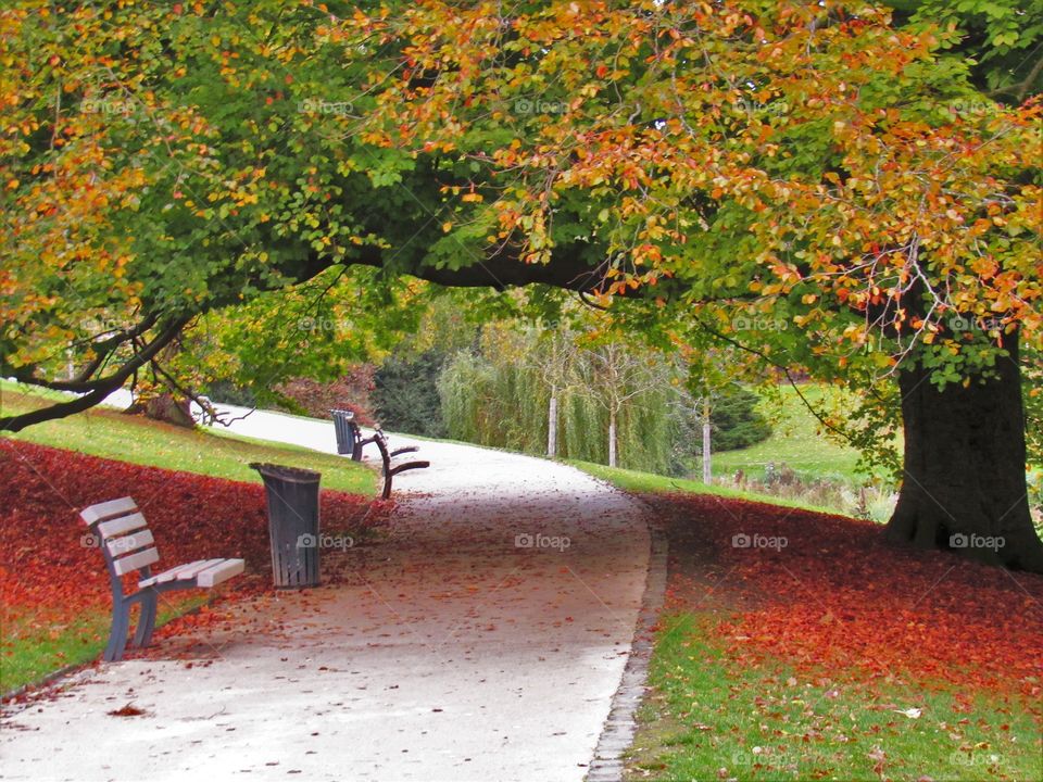 In the park