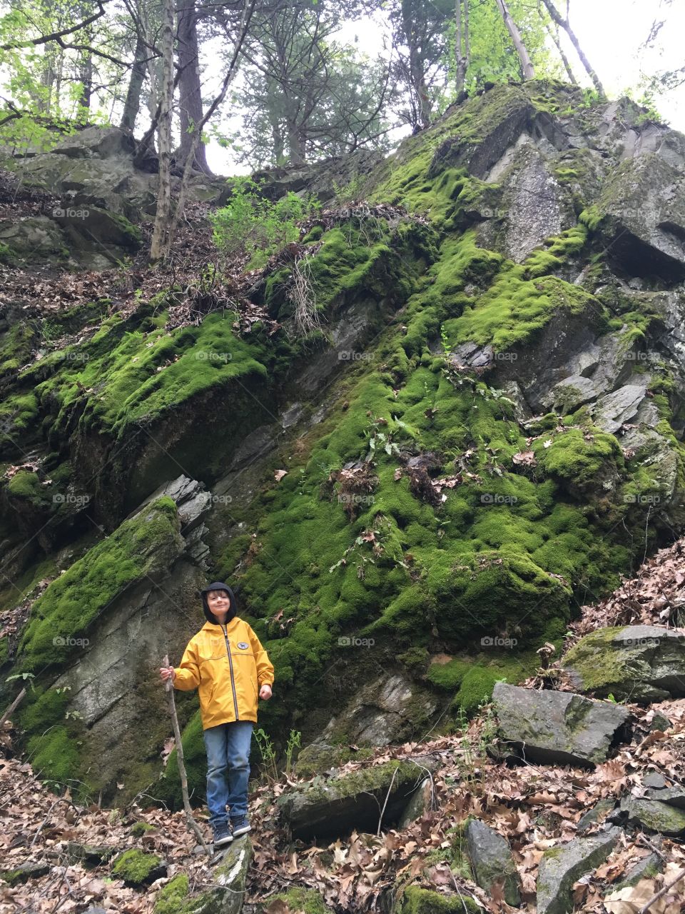 Hiking and saw this cool wall of mossy rock