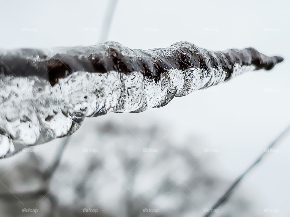 Abstract nature- ice formed in layered droplets creating a bubbly unicorn shaped ice on a small tree branch.