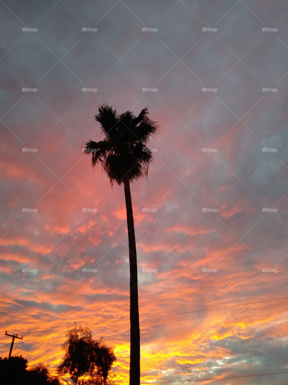 California Skies