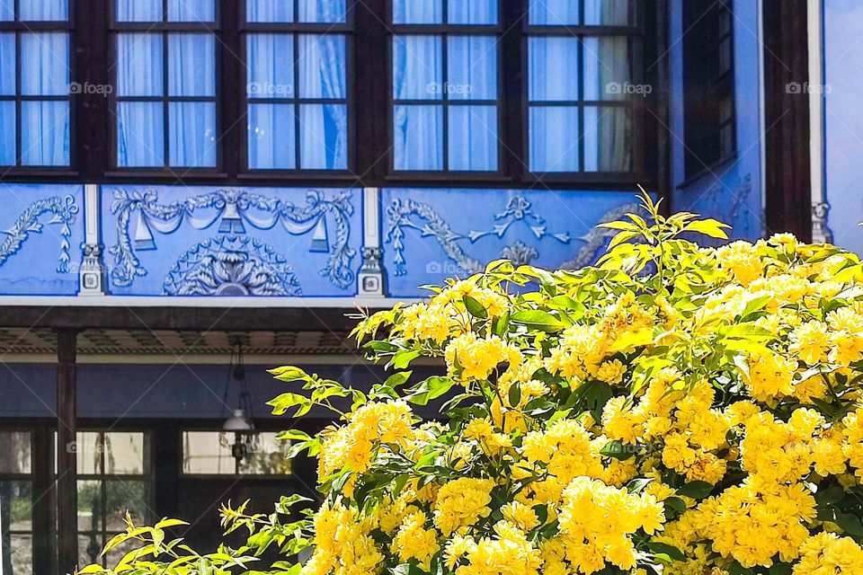 Complementary Colors