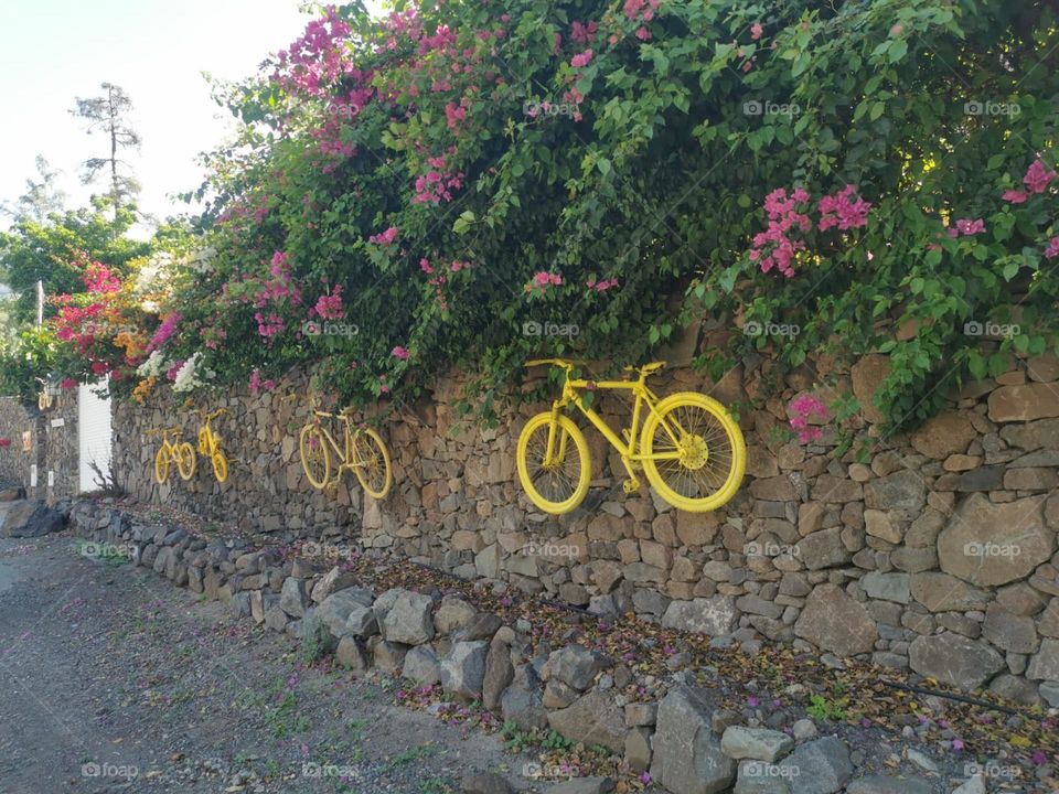 curiosa la fachada con estas tres bicicletas color amarilla