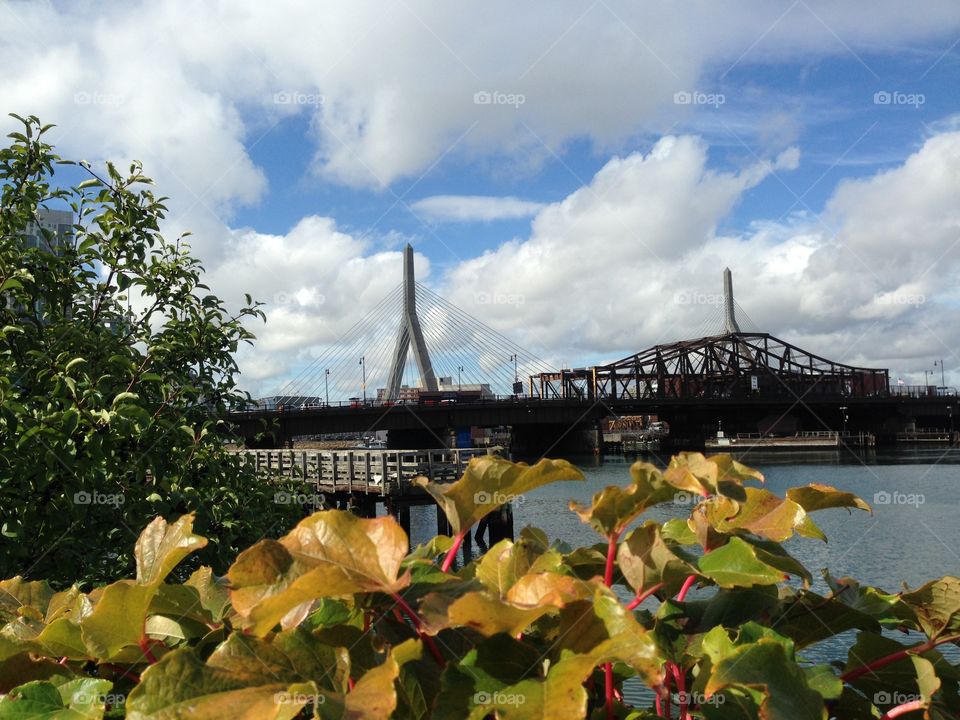 In your lunch time, in your branch you'll find a way to relax, to get off the office and enjoy the view