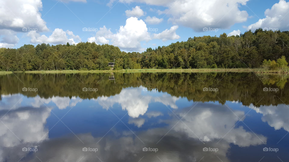 Reflection of trees and clouds