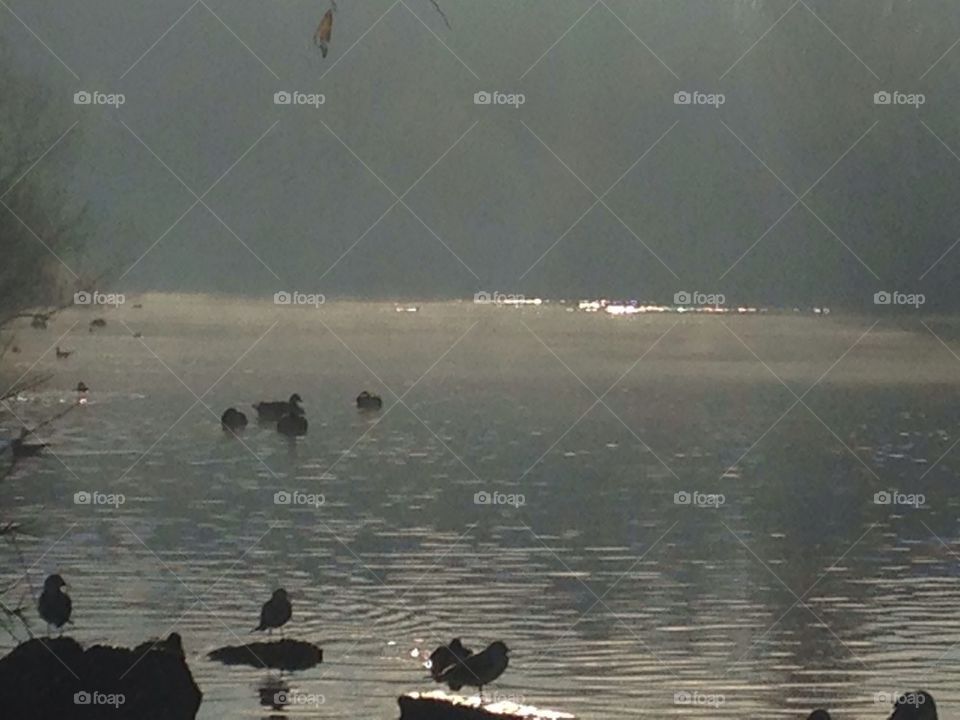 Early morning dew over Pennington flash lake