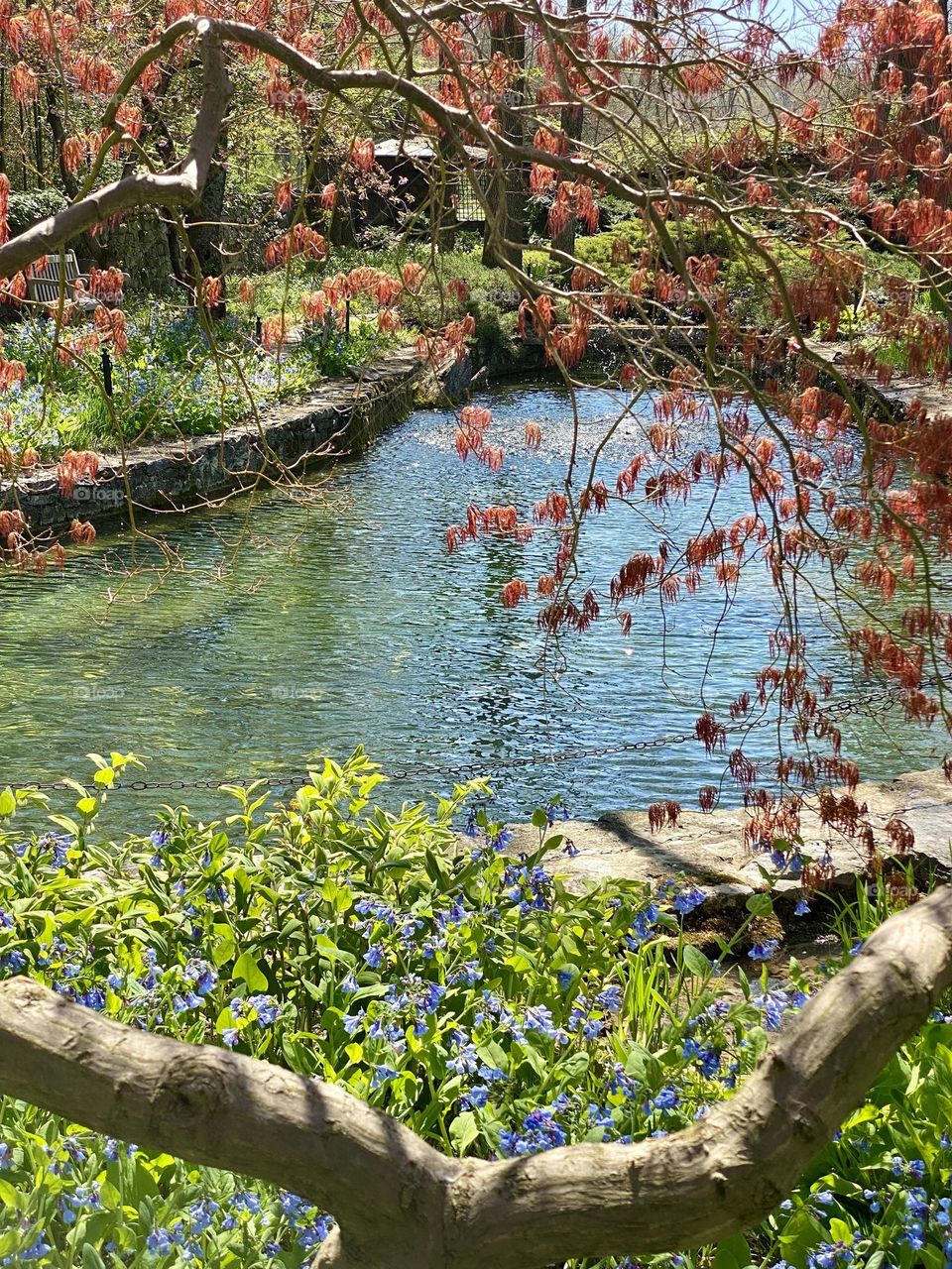 Flowers in a garden in front of a pond
