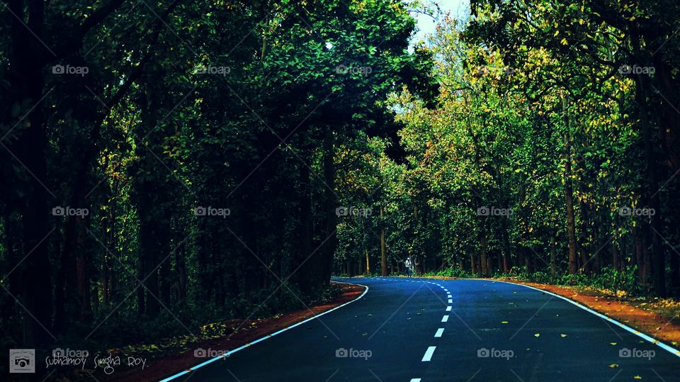 Moods in Summer in Queen of Forest Jhargram, West Bengal