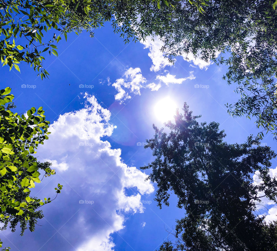 Мы забываем смотреть на небо и солнце. Они так красивы