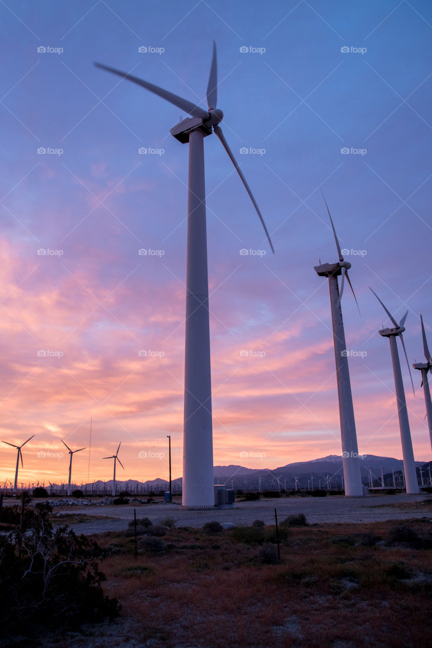 Beautiful sunset above the windmills on the field