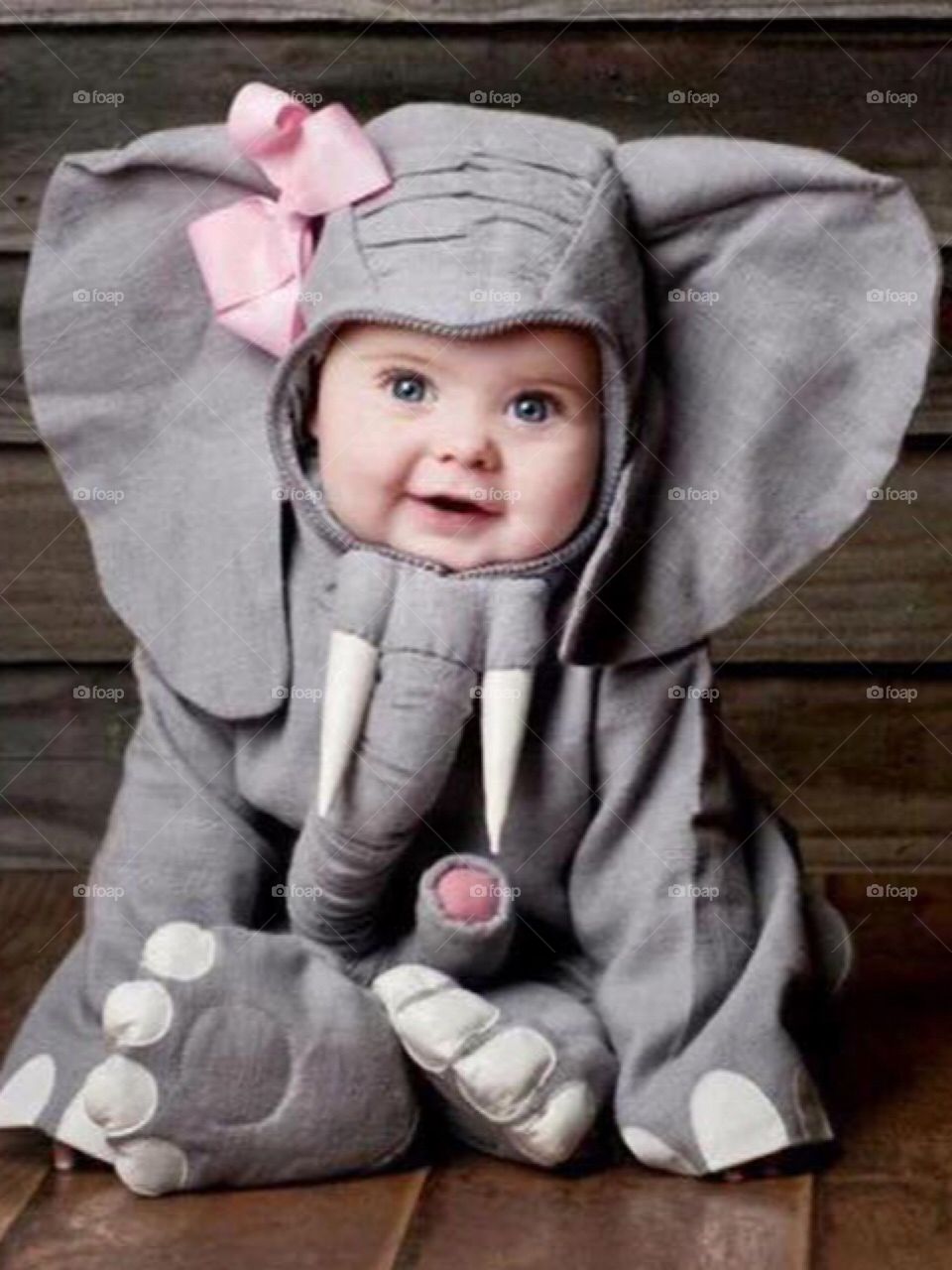 Have you seen baby elephant? 😊😊