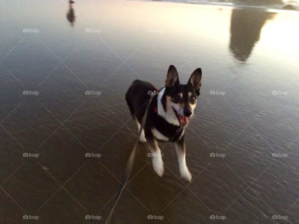 Fun at the beach 