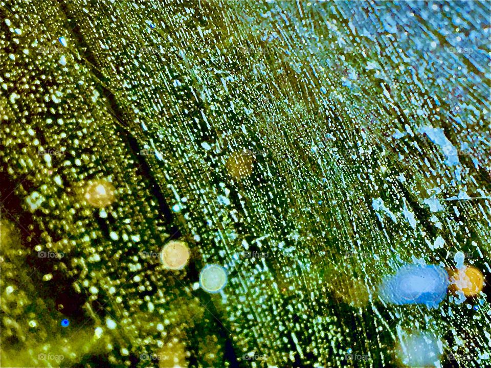 An interesting closeup of a green leaf w lens flares forming as the light hits tiny drops of moisture that pearled up on its surface, fine detail of the ridges of the leaf itself plus what could be tiny particles on it. 2021. Hypnotic Productions