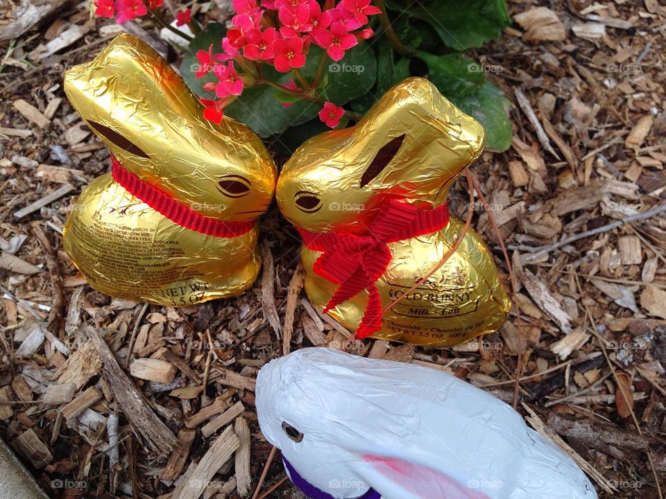 Three chocolate rabbits on a picnic .