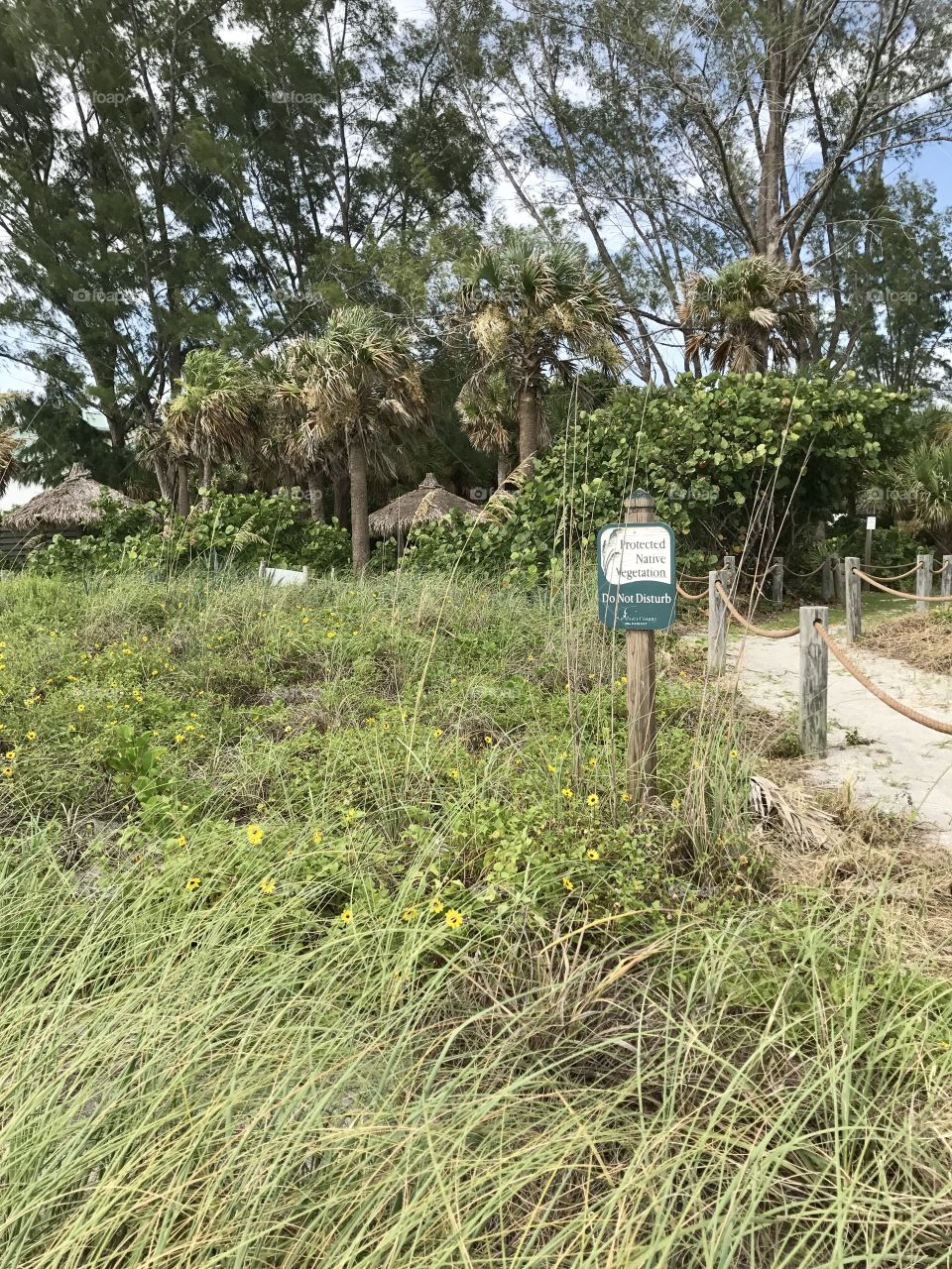 Turtle beach sign