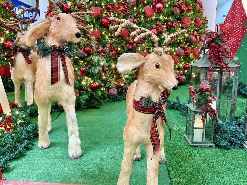 Christmas decorations. Santa Claus’s reindeers . 