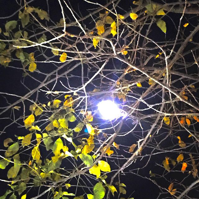 Full moon shoot 
