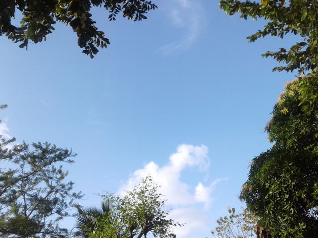 nature
