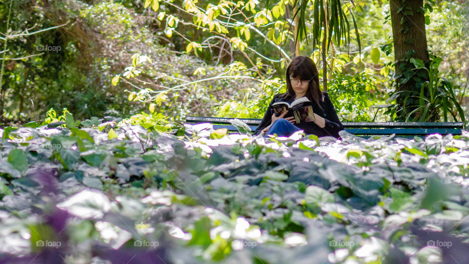Lectura,  tranquilidad