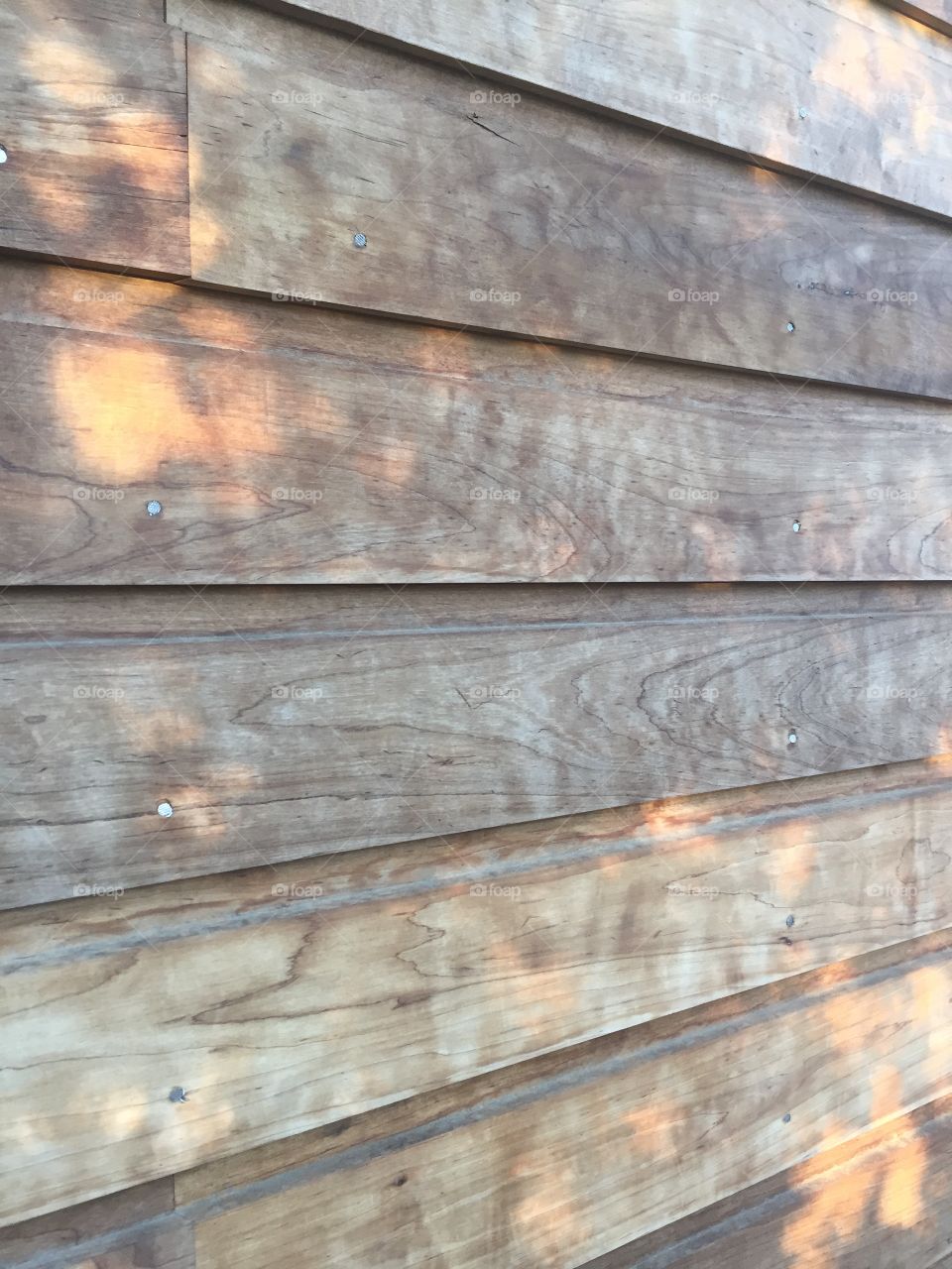 Wood siding