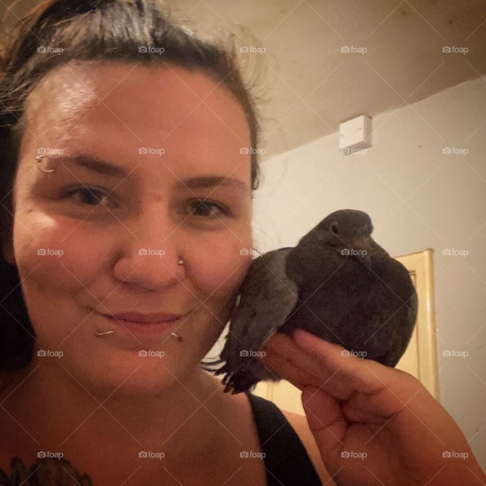 My pigeon and me 