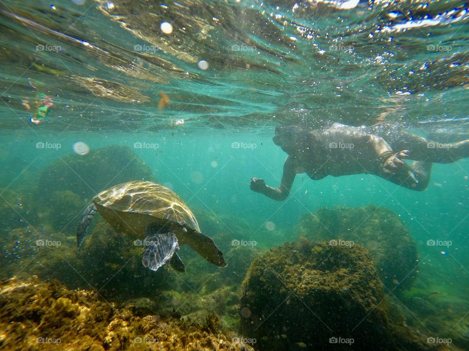 Mergulho com tartaruga. Arraial do Cabo. RJ. Brasil.