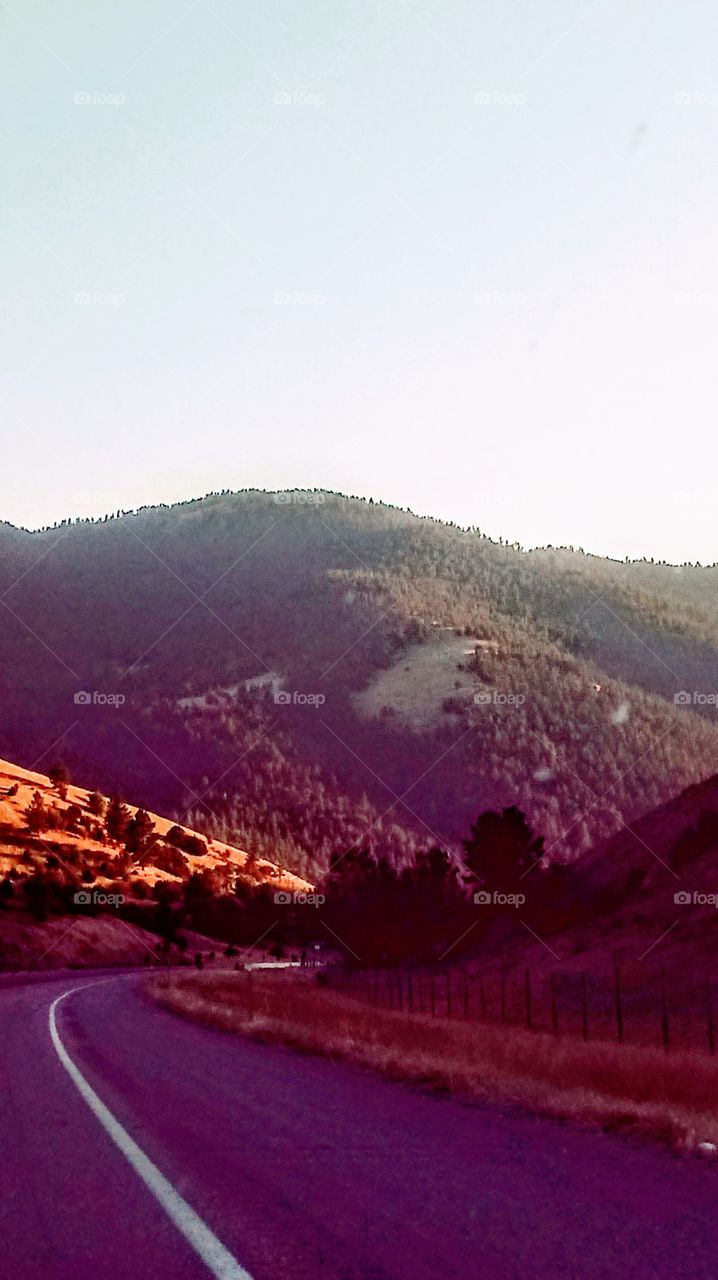 Rolling Hills of Montana