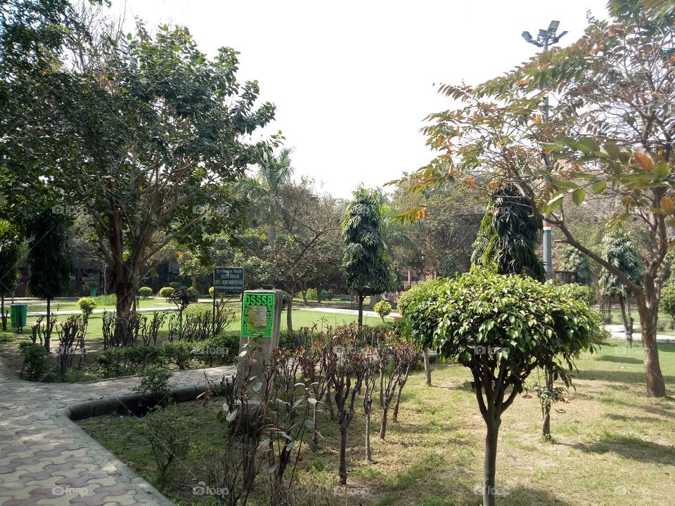 park