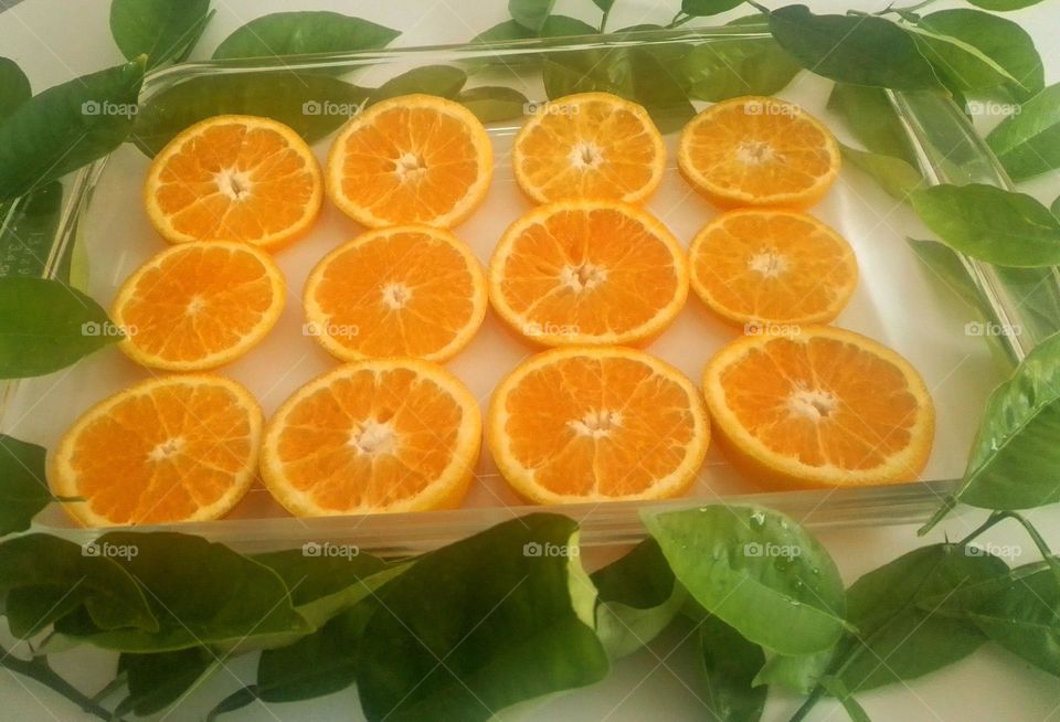 Geometry Series: Circle