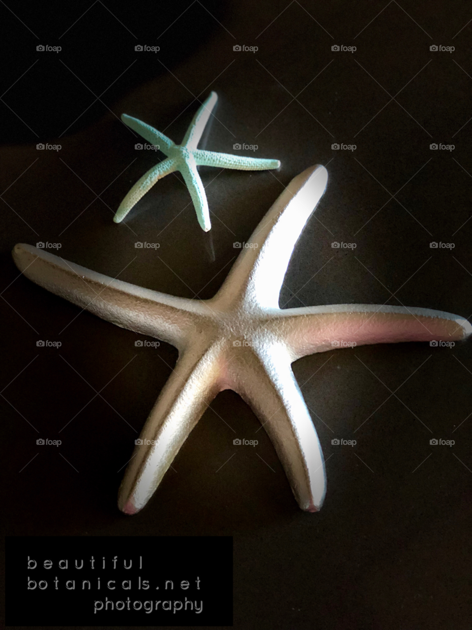 Stunning and Beautiful Starfish Art! Perfect for Canvas Art, Wallpaper Art, Beach Decor!